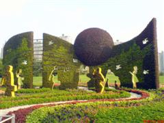 Topiary Photos